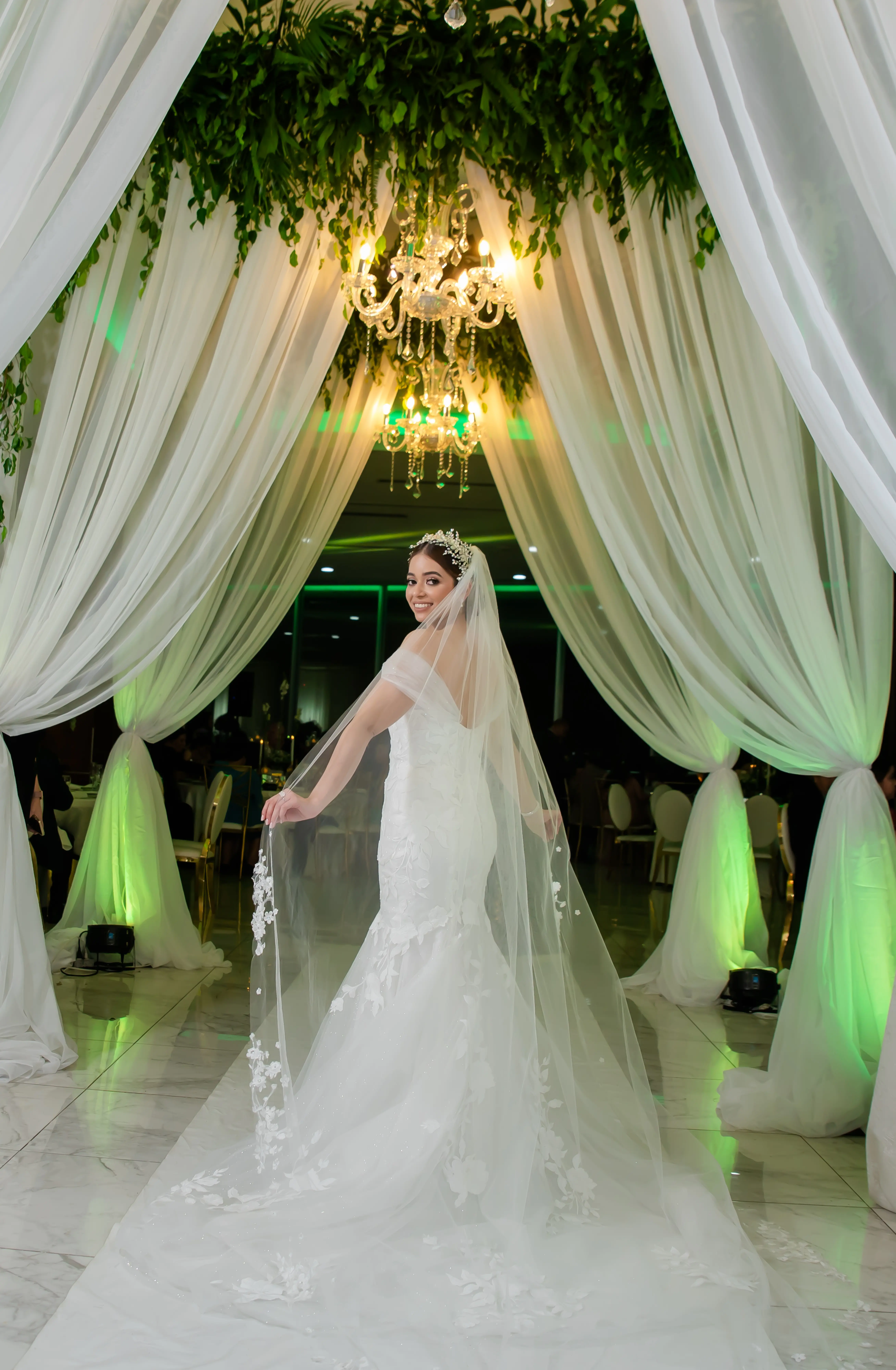 Bride Showing Train and Veil with Greenery Background at Reception Wearing Wedding Dress Called Hattie by Rebecca Ingram