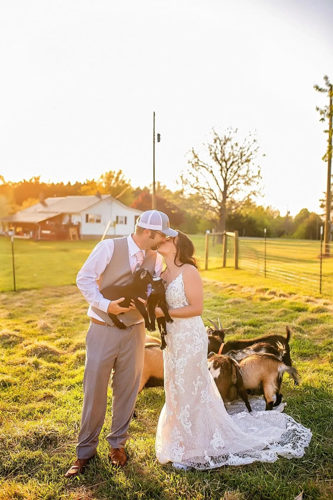 Groom Kissing Bride While Holding Baby Goats. Bride in Shimmering Lace Motif Wedding Gown with Plunging Sweetheart Neckline Called Tuscany Lynette by Maggie Sottero