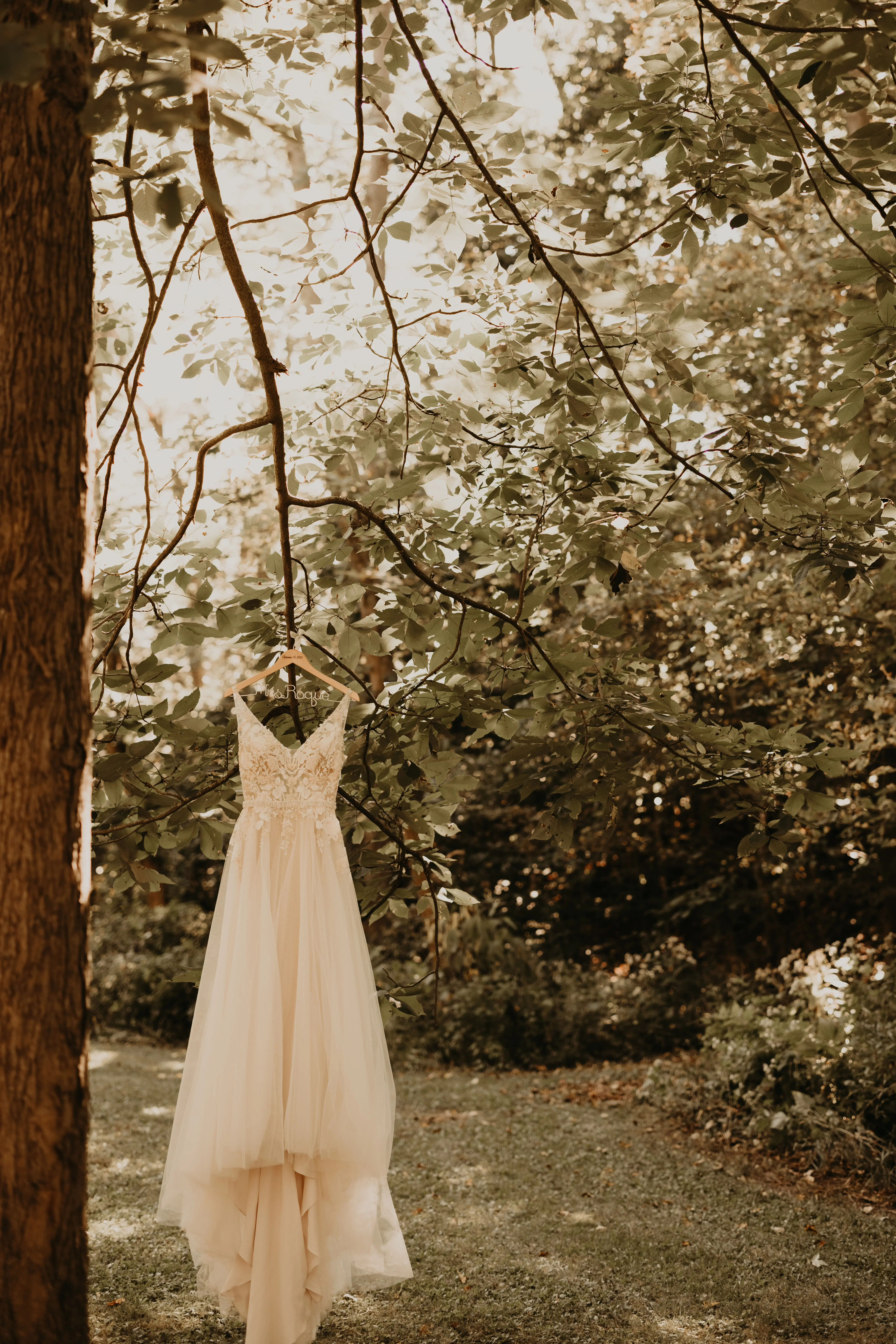 Wedding Gown Called Minerva By Rebecca Ingram