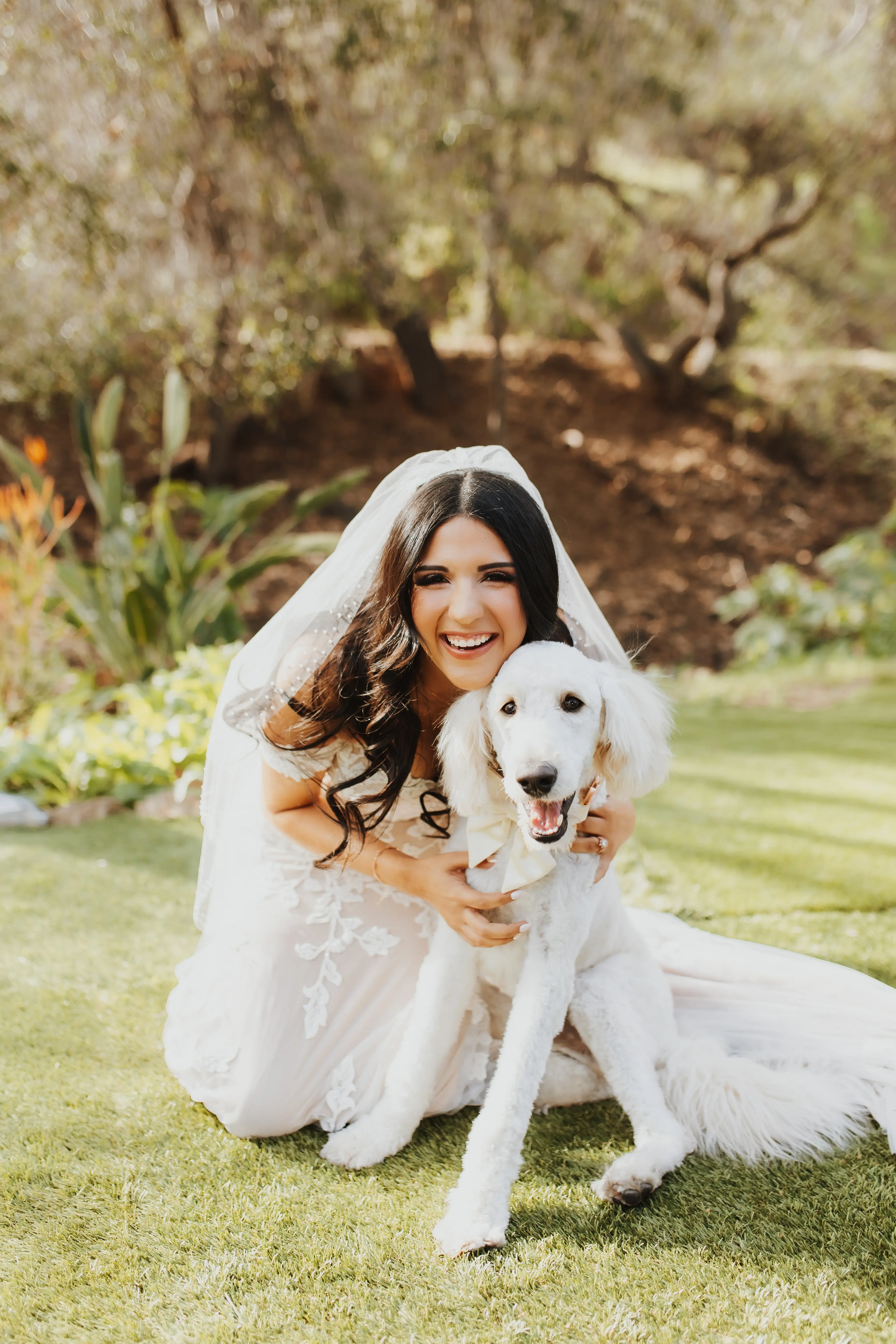 Bride In Lace Wedding Dress Called Ivy By Maggie Sottero With Dog