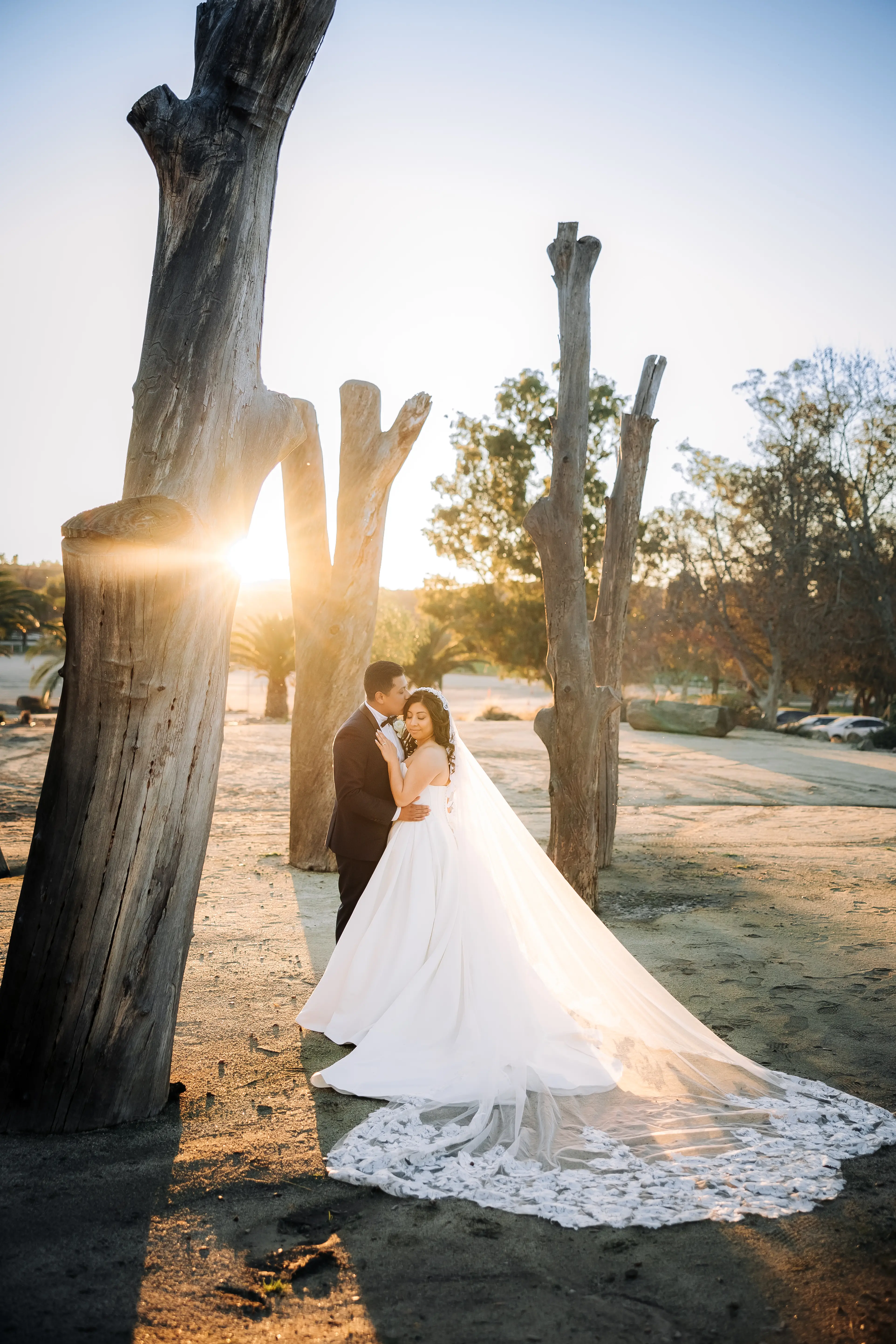 Bride Wearing Sexy Ballgown Wedding Dress Called Derrick By Maggie Sottero With Groom Near Large Tree Trunks