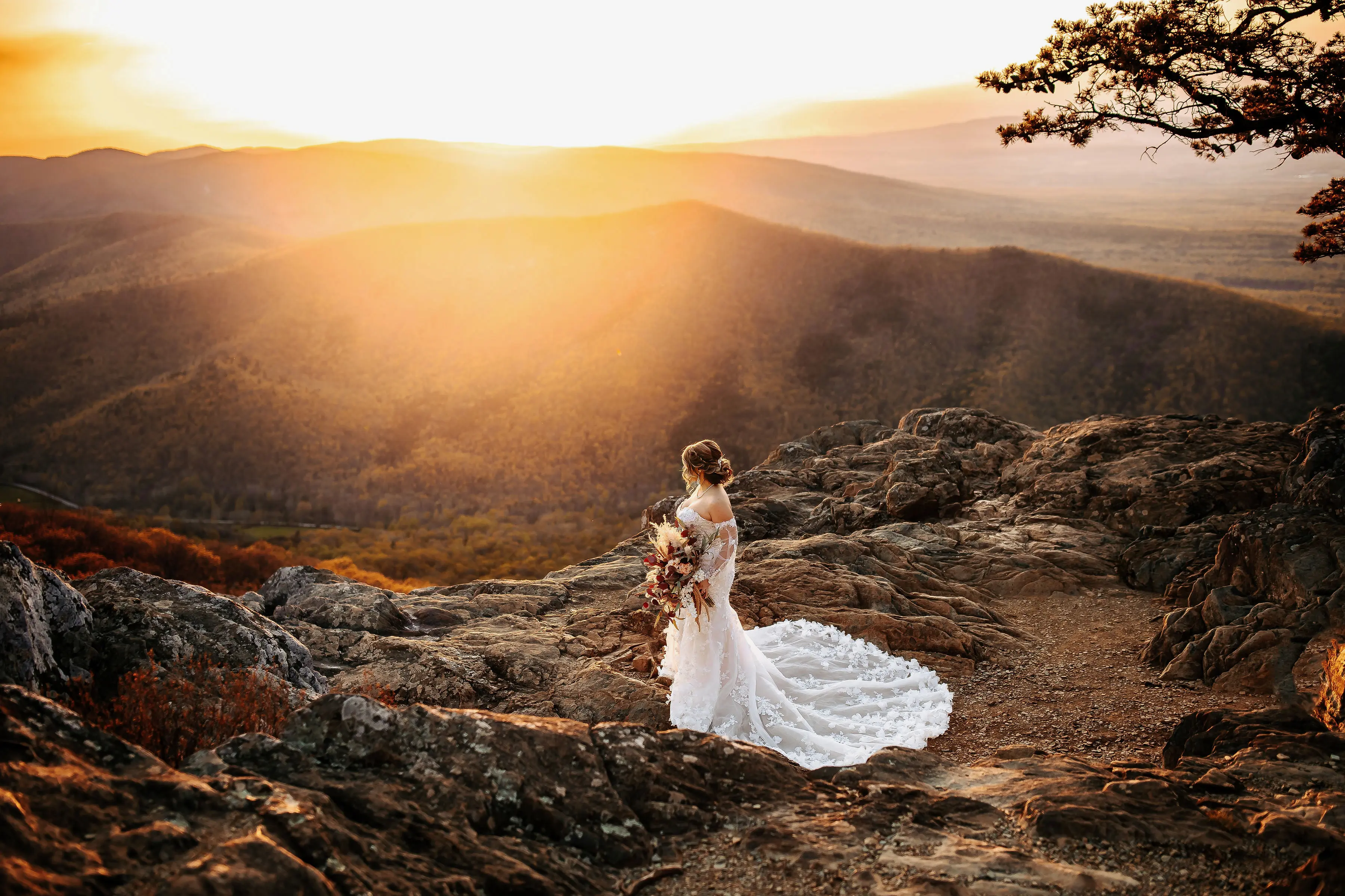Bride Wearing 3-D Floral Fit-And-Flare Wedding Dress Called Ryker By Sottero And Midgley Overlooking A Valley
