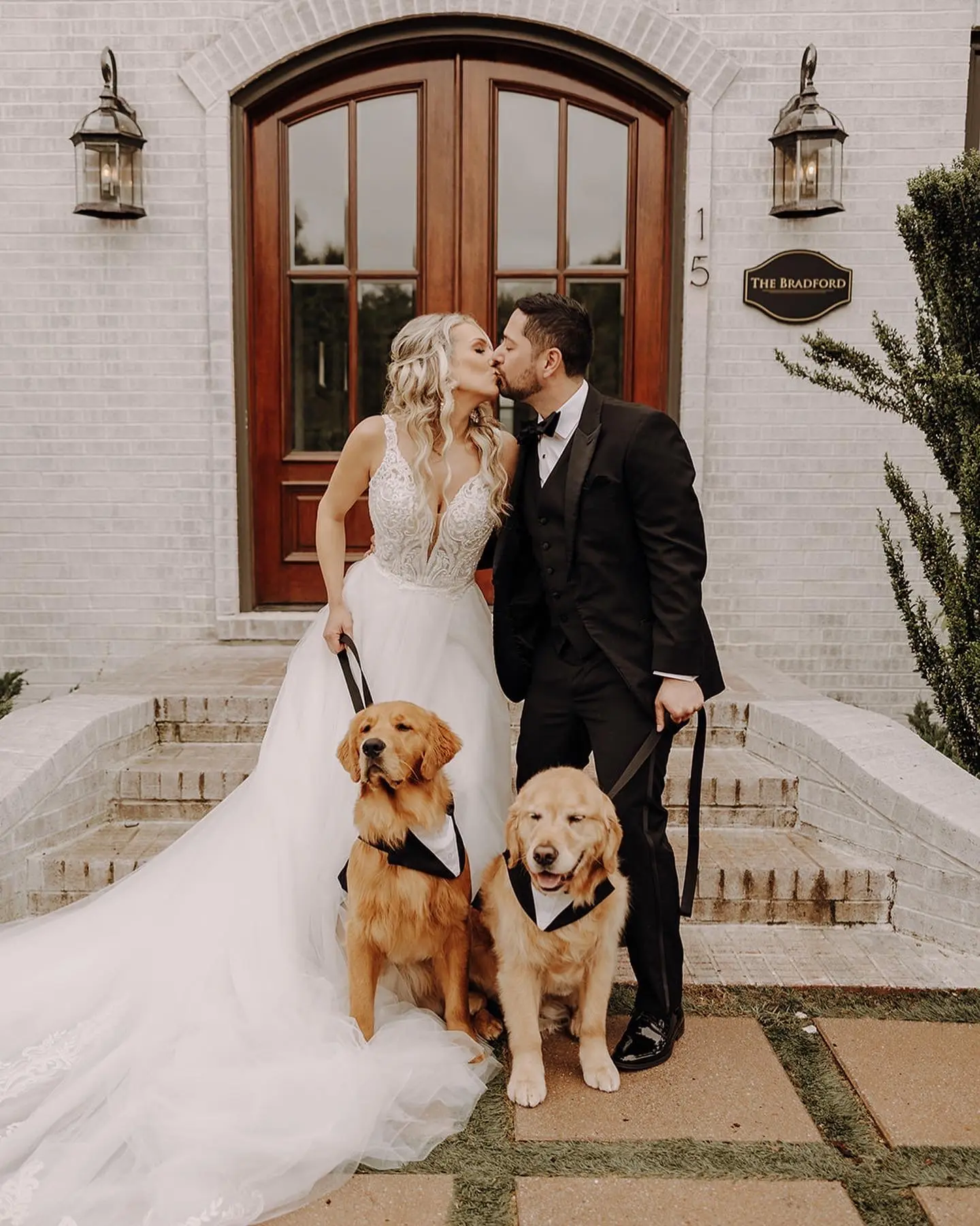 Bride In Lace Sheath Gown Hamilton By Sottero Midgley With Groom And Dogs