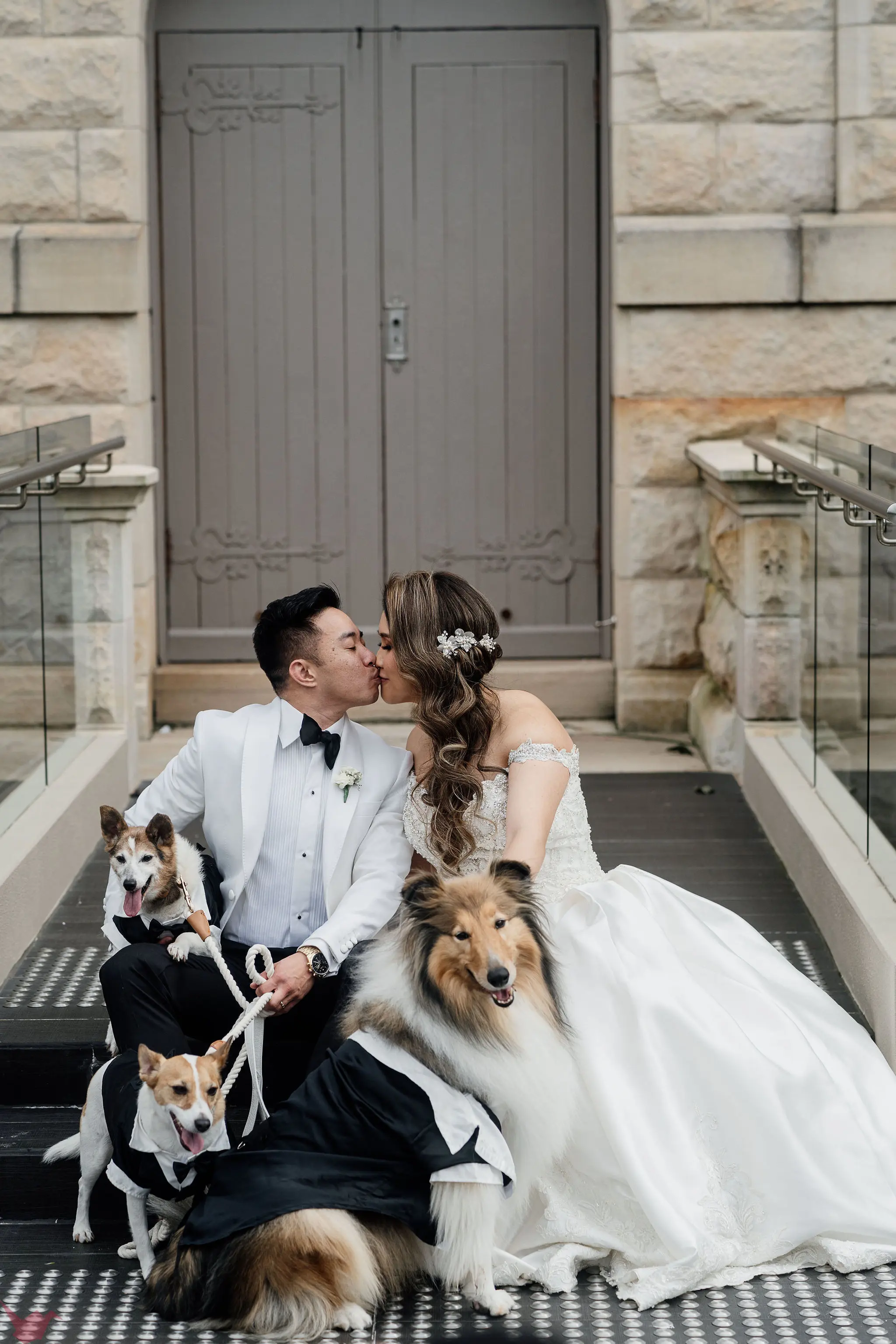 Bride Wearing Princess Ballgown Wedding Dress Called Kimora By Sottero And Midgley Kissing Groom With 3 Dogs
