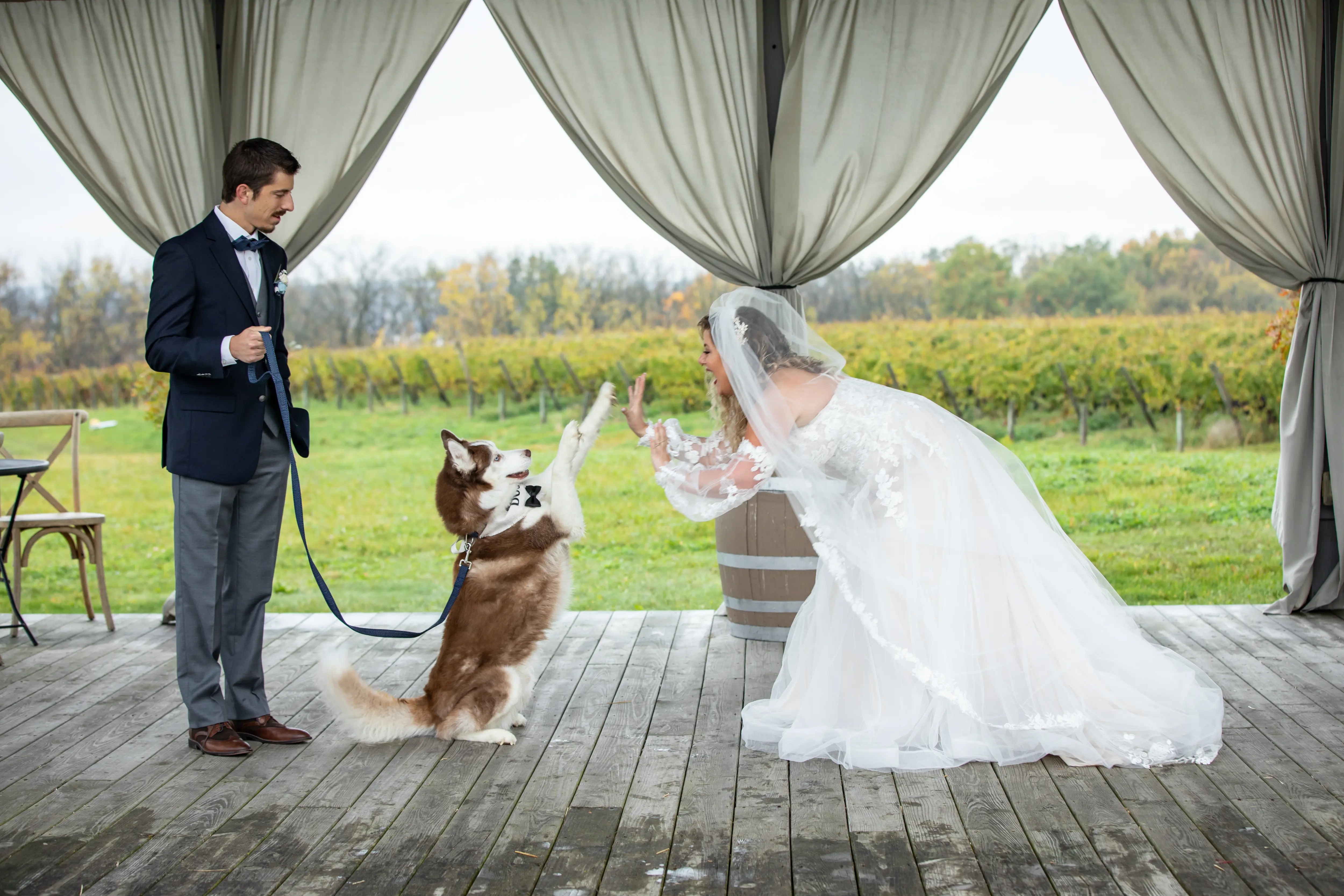 Bride Wearing Boho A-Line Wedding Dress Called Stevie By Maggie Sottero High-Fiving Their Dog With The Groom