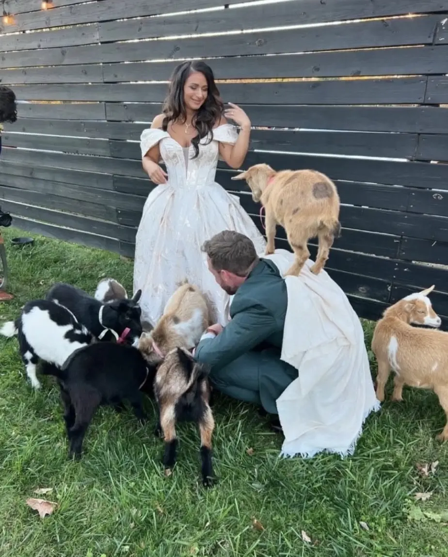 Bride Wearing Floral Ballgown Wedding Dress Called Derrick Marie With Goats And The Groom