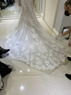 Train Of Sparkly Lace Fit-And-Flare Bridal Dress Called Fiona By Maggie Sottero