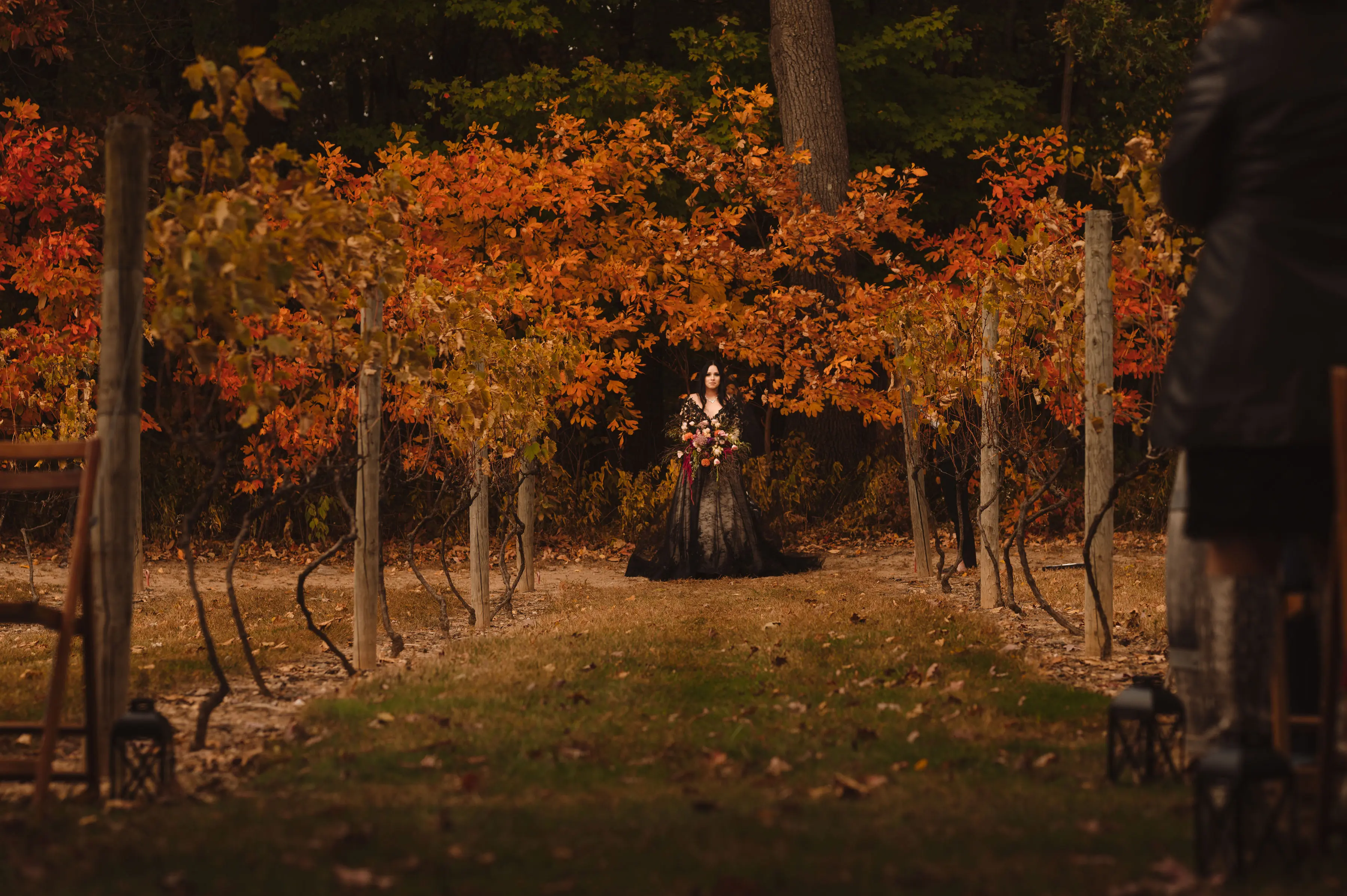 Bride Wearing Black Lace Wedding Dress Called Zander By Sottero And Midgley In A Fall Orchard