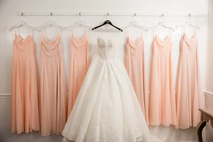 Bride In Lace Ballgown Wedding Dress With Bridesmaid Dresses