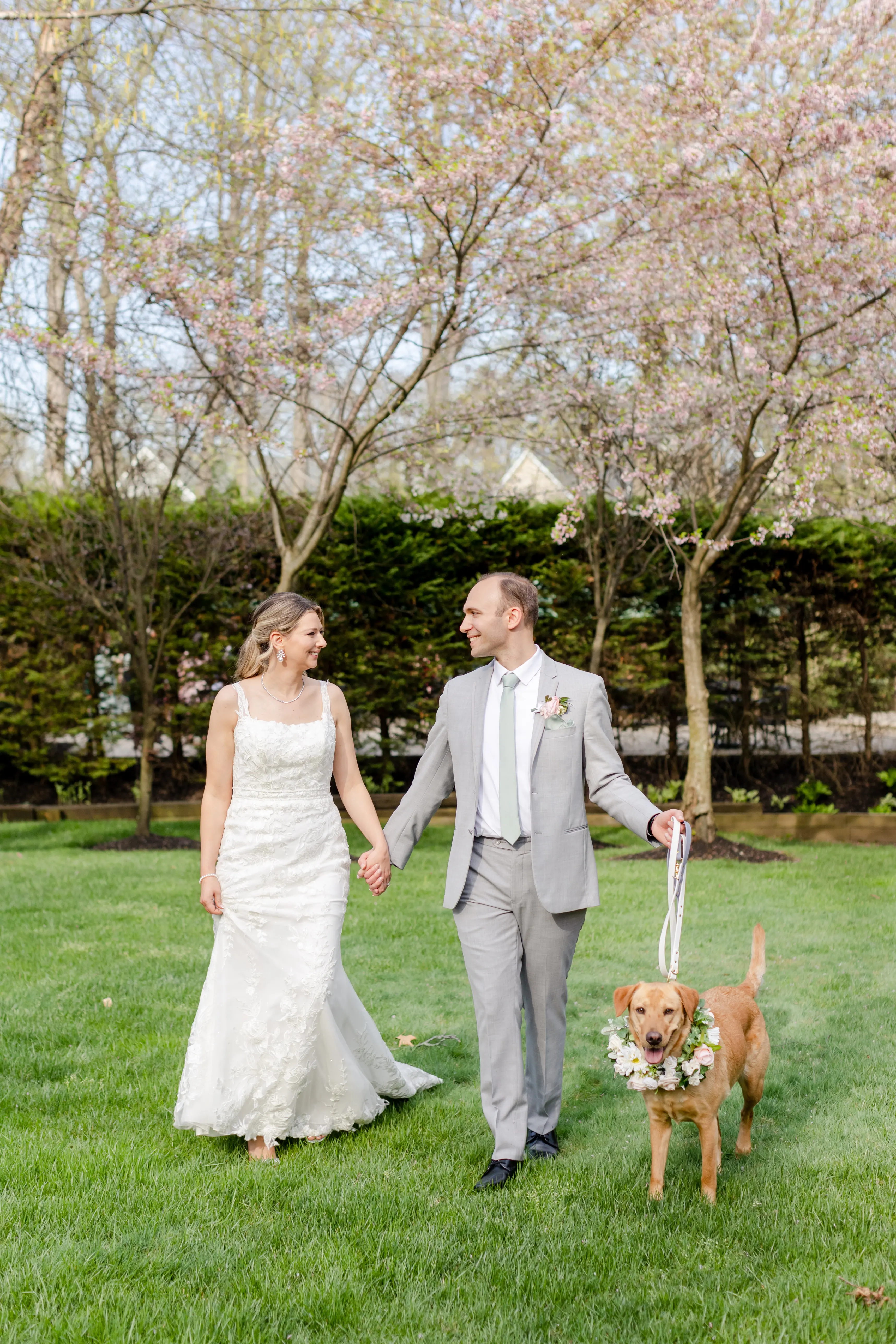 Gown In Beaded Tulle Sequined Lace Albany Maggie Sottero With Dog And Groom