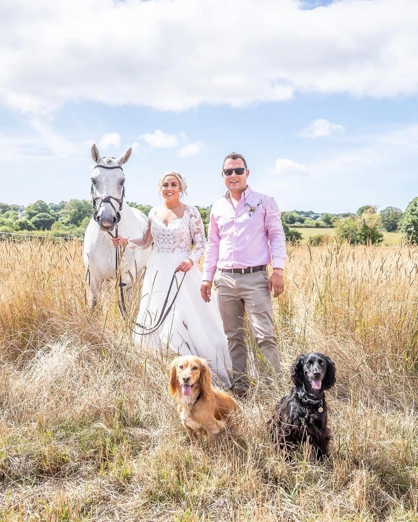 Bride In A-Line Wedding Dress Named Savannah By Maggie Sottero Bride And Groom With Horse And Dogs