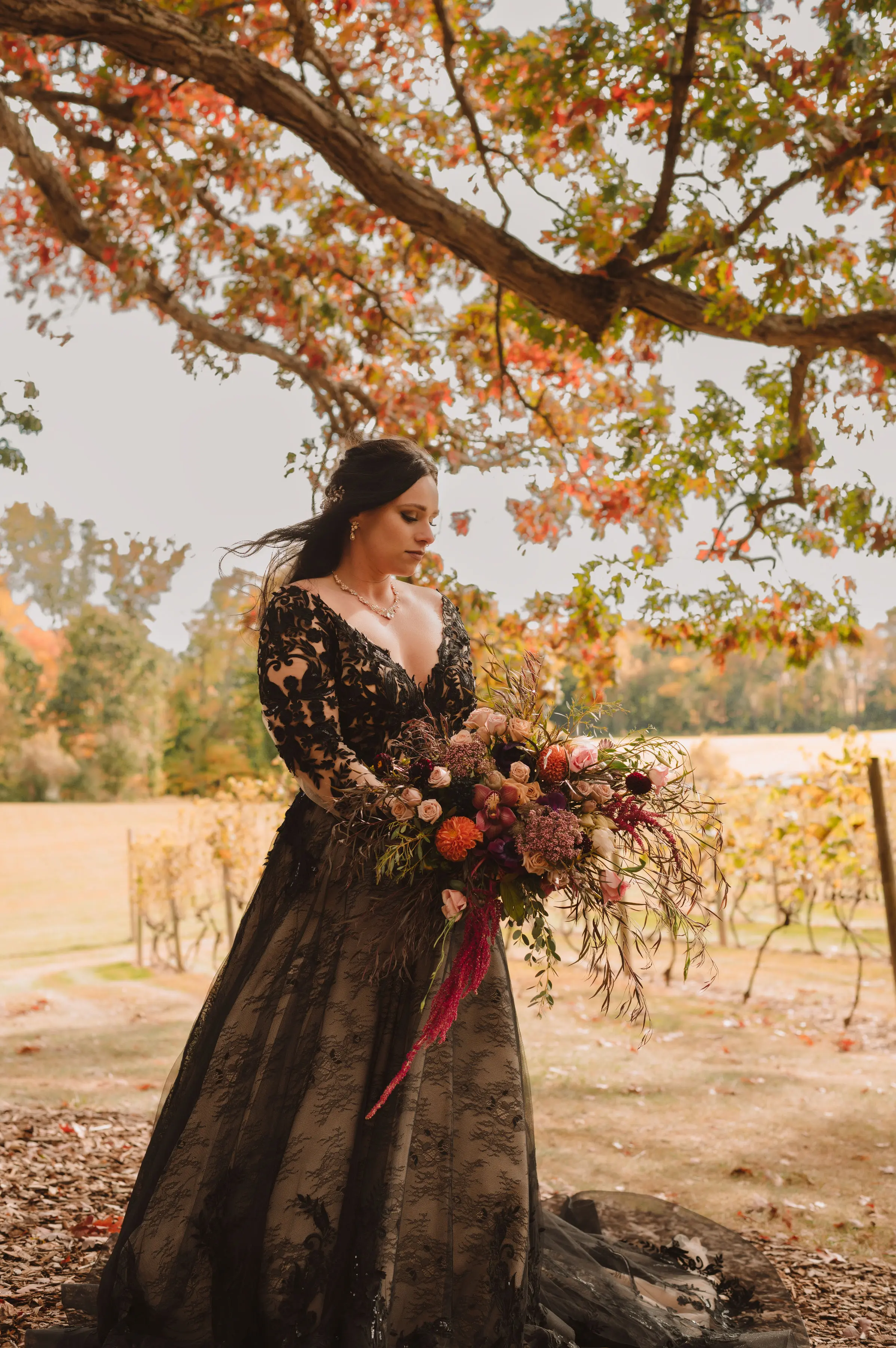 Bride Wearing Black Lace Wedding Dress Called Zander By Sottero And Midgley Under A Tree