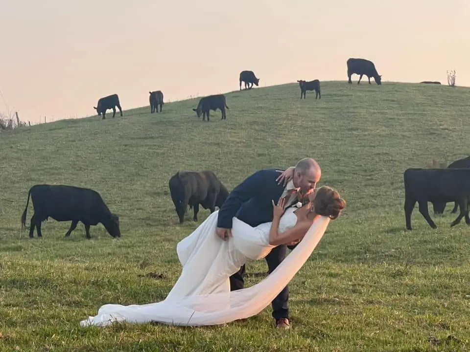 Bride Wearing Sparkly Fit And Flare Wedding Dress Called Anniston Lane By Maggie Sottero Kissing Groom In A Field With Cows