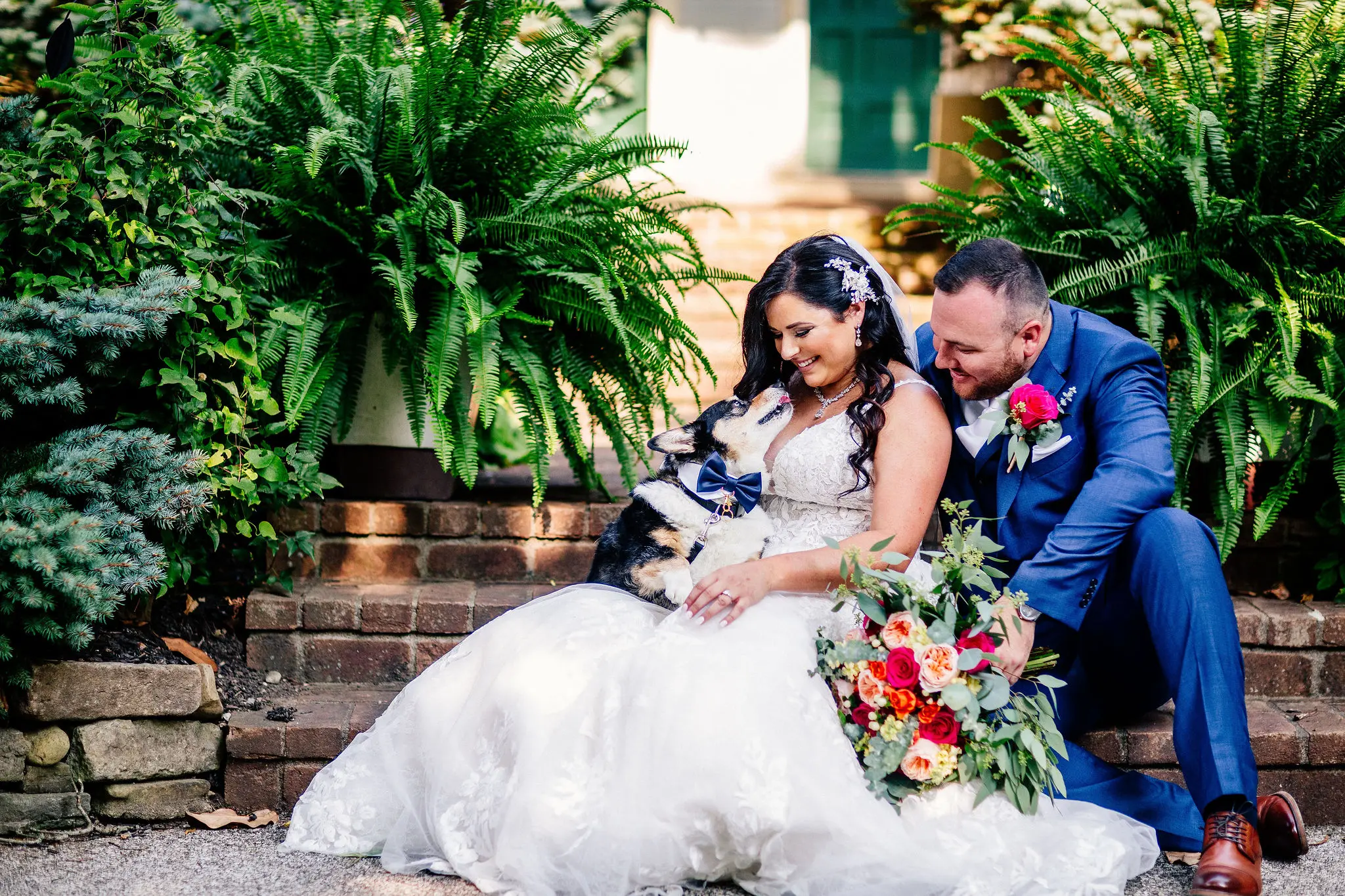 Bride and groom playing with their puppy on steps.