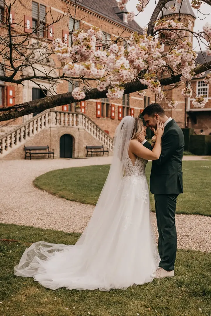 Bride In A-line Illusion Bodice Jill Rebecca Ingram With Groom